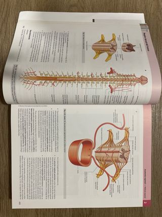 Gray. Anatomía para estudiantes