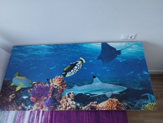 Foto decorativa fondo marino 150x73x1CM