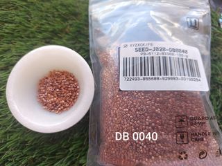 Lote 50gr Miyuki Delica 11/0 colores variados