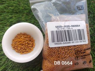 Lote 50gr Miyuki Delica 11/0 colores variados