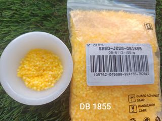 Lote 50gr Miyuki Delica 11/0 colores variados