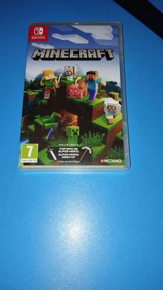 Minecraft Nintendo Switch