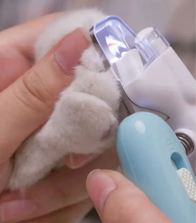 Tagliaunghie a LED per animali domestici