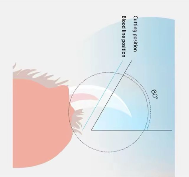 Tagliaunghie a LED per animali domestici