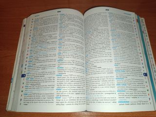 MY WORLD DICTIONARY 