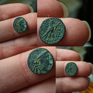 Moneda Griega Romana Antigua