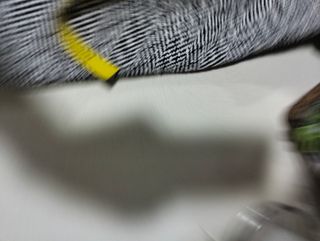 Abrigo Talla Grande Nuevo