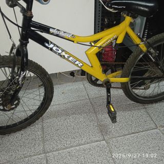 Bicicleta infantil 20" COLUMBUS
