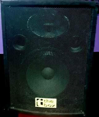 Pareja Altavoces Profesionales the box