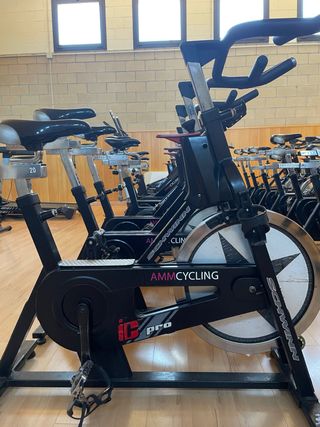 Bicicleta Spinning Ciclo Indoor Schwinn