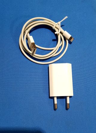 Caricatore originale Apple iPhone/iPad A1400 Slim