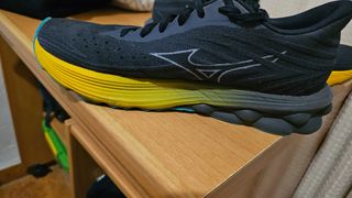 Mizuno Wave Skyrise 06 Zapatillas Running