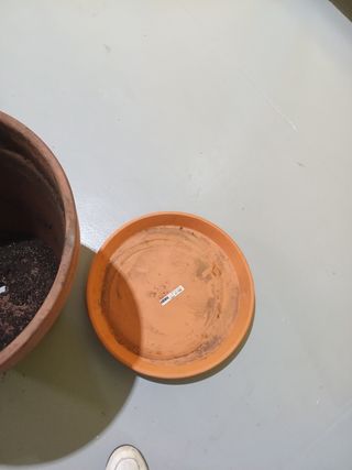 Maceta grande de terracota