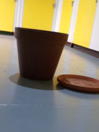 Maceta grande de terracota