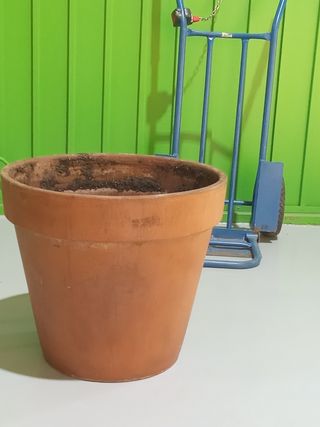 Maceta grande de terracota