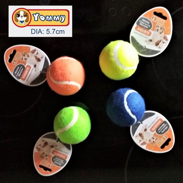 Arnés para Perro Mister Zoo Talla S Azul Marino