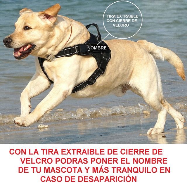 Arnés para Perro Mister Zoo Talla S Azul Marino