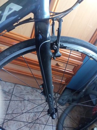 Bicicleta Orbea Carpe