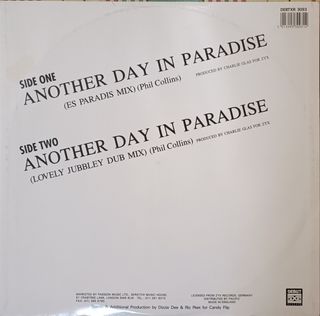 Vinile Remix Another Day in Paradise