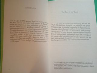 I ratti sui muri - The rats in the wall