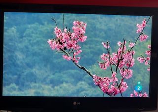 Televisión LG 39 pulgadas