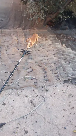 Arreglo toldo tipo de maquinas aletrica o gasolina