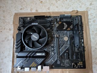 ASUS TUF GAMING B550-PLUS + AMD Ryzen 3 3100
