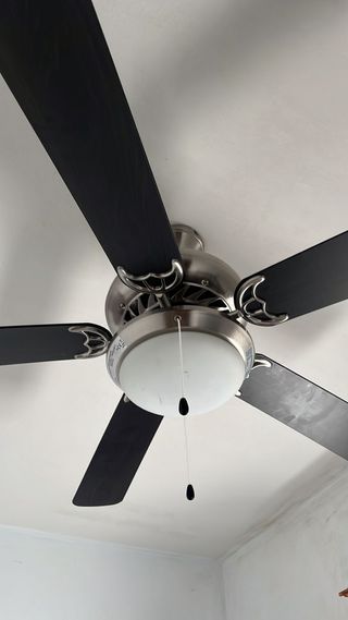 Ventilador de Techo Negro y Plateado