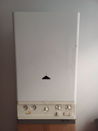 Caldera Gas Propano Cointra