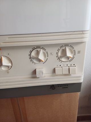 Caldera Gas Propano Cointra