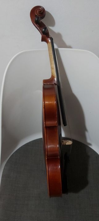 Violín profesional 4/4 con estuche y arco