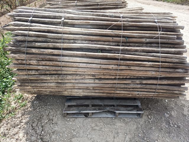 Postes de madera para viñedo