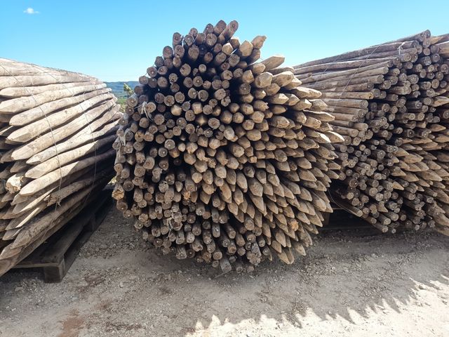 Postes de madera para viñedo