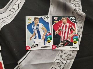Colección cromos fútbol Panini