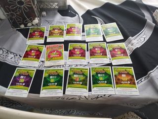 Colección cromos fútbol Panini