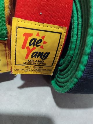 Cinture Tae Kwon Do Tae Yang e Dae Do