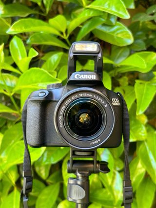 !! OCCASIONE! FOTOCAMERE REFLEX CANON + 18-55 DA 139€