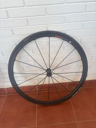 Ruedas Carretera Campagnolo Shamal Mille