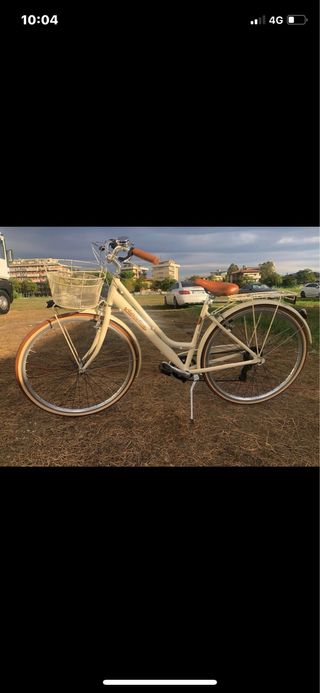 Bicicletta da donna con cambio.