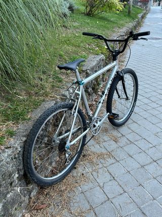 Bicicleta Marin Clásica
