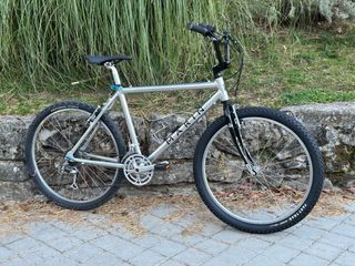 Bicicleta Marin Clásica