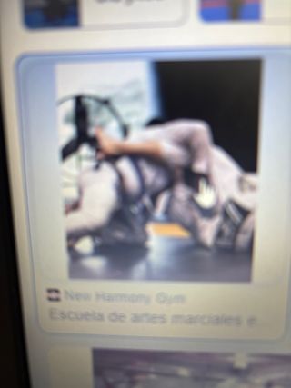 Monitor de judo 