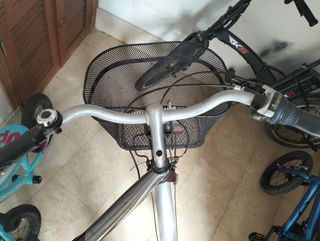 Bicicleta paseo con sillita para bebé