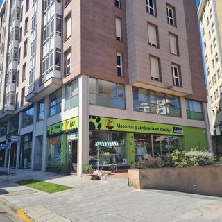 Oficina en alquiler en Acea de Olga - Augas Férreas en Lugo