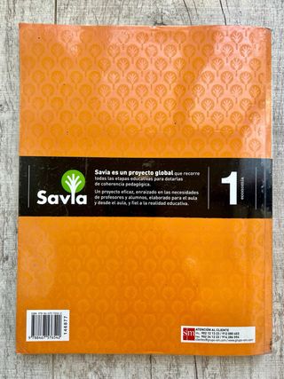 Economía. 1 Bachillerato. Savia (Spanish Edition)