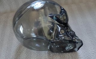 2909251015 teschio porta dolci