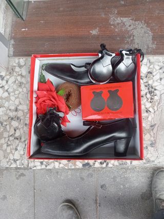 Zapatos de flamenco, castañuelas, flor y goma