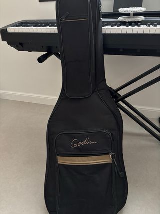 Guitarra Godin Multiac ACS