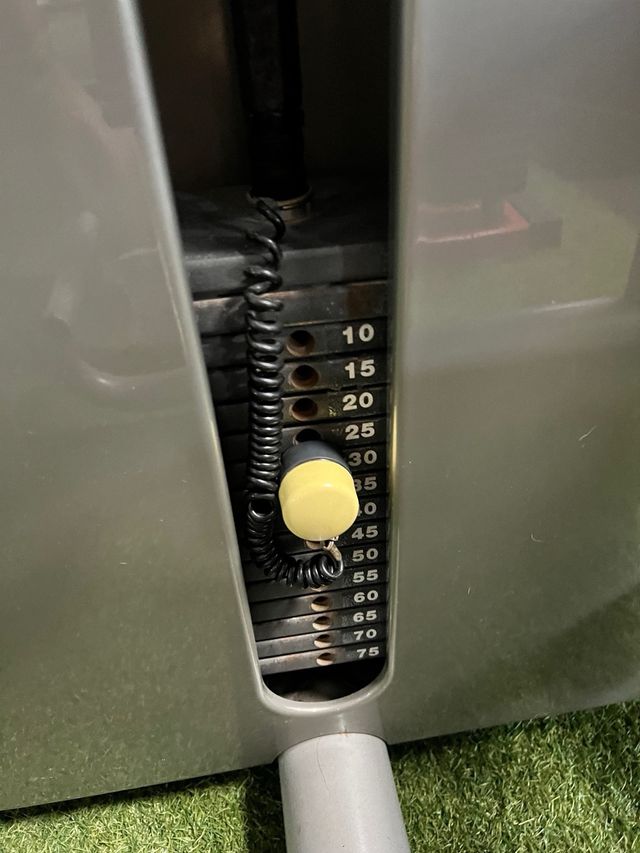 Máquina Lumbar Technogym