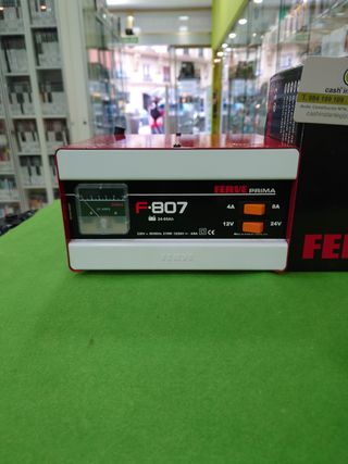Cargador Batería Coche Ferve F-807